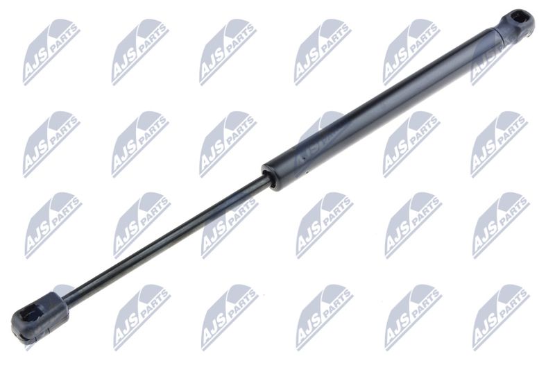 NTY AE-SE-014 Gas Spring, boot/cargo area