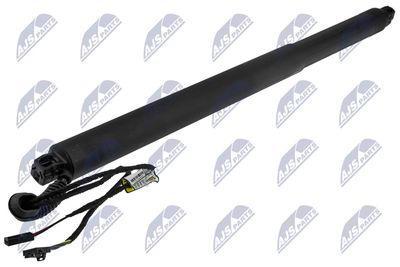 Electric Motor, tailgate NTY AE-SK-029