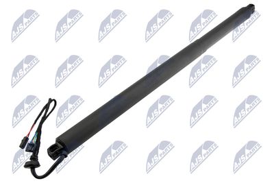 Electric Motor, tailgate NTY AE-SK-031