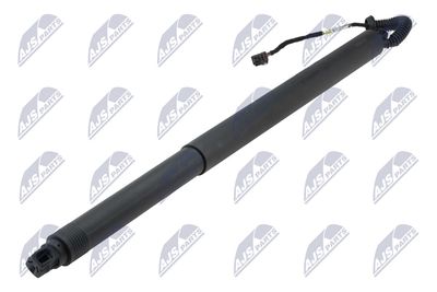 Electric Motor, tailgate NTY AE-SK-034