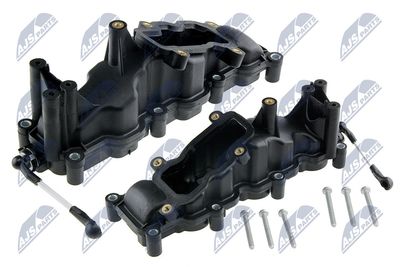 Intake Manifold Module NTY BKS-AU-001