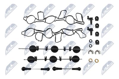 Intake Manifold Module NTY BKS-AU-001A