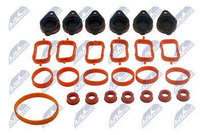 Intake Manifold Module NTY BKS-BM-010A