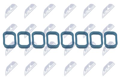 Gasket Set, intake manifold NTY BKS-FR-010