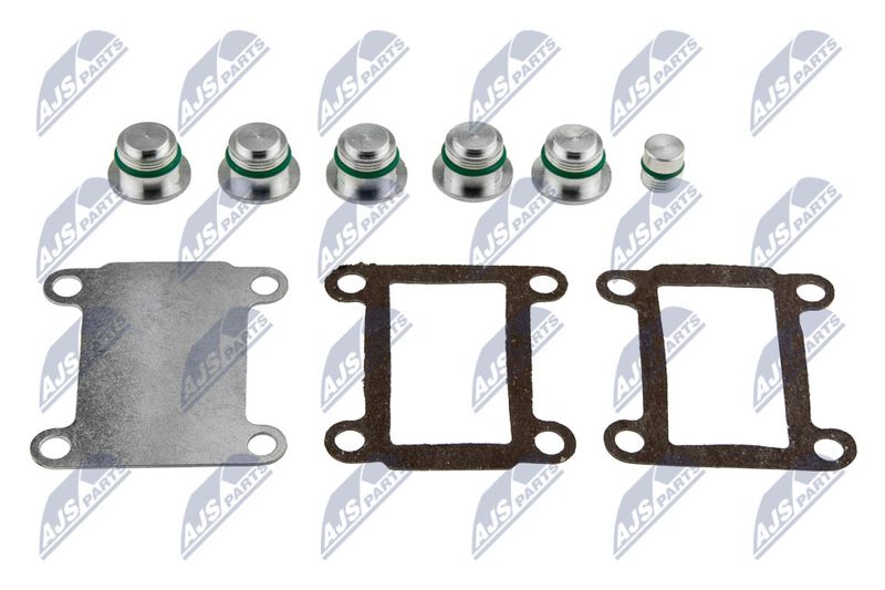 NTY BKS-FT-005A Intake Manifold Module