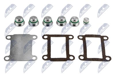 Intake Manifold Module NTY BKS-FT-005A
