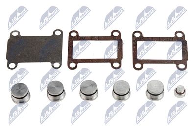 Repair Kit, intake manifold module NTY BKS-FT-007