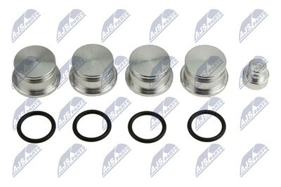 Repair Kit, intake manifold module NTY BKS-PL-007A