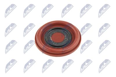 Cylinder Head Cover NTY BPZ-VV-002