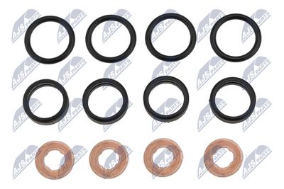 Seal Kit, injector nozzle NTY BWP-PL-003
