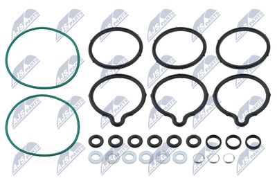 Repair Kit, common rail system NTY BWP-VW-011