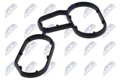 Gasket, oil cooler NTY CCL-BM-080