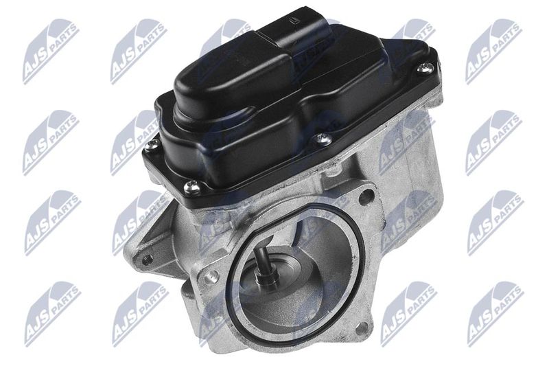 NTY EGR-AU-002 EGR Valve