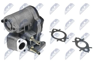 EGR Valve NTY EGR-AU-006