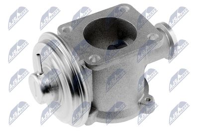 EGR Valve NTY EGR-BM-003