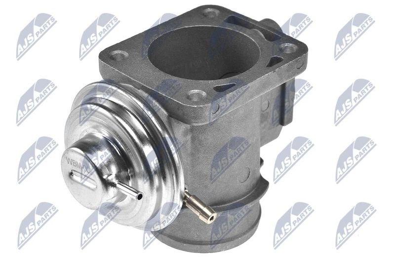 NTY EGR-BM-005 EGR Valve