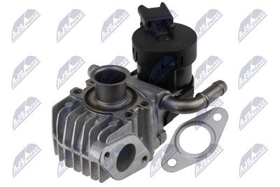 EGR Valve NTY EGR-BM-008