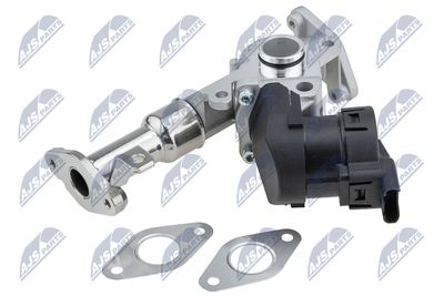 EGR Valve NTY EGR-BM-017