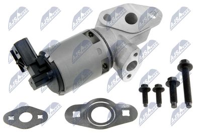EGR Valve NTY EGR-CH-002