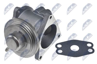 EGR Valve NTY EGR-CH-011