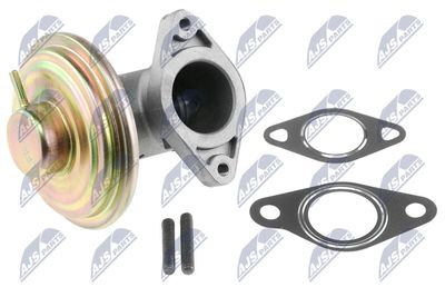 EGR Valve NTY EGR-FR-013