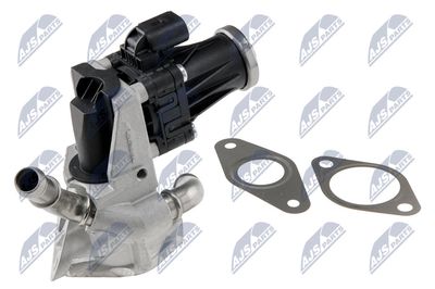 EGR Valve NTY EGR-FR-029