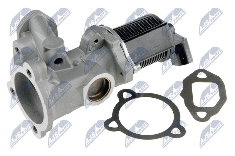 NTY EGR-FT-001 EGR Valve
