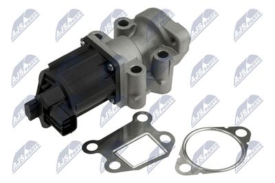 EGR Valve NTY EGR-MS-007