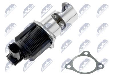 EGR Valve NTY EGR-NS-001