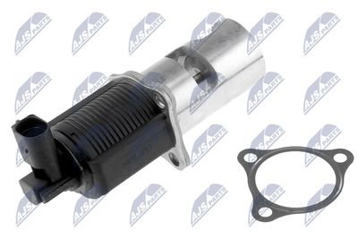 EGR Valve NTY EGR-PL-011