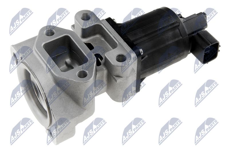 NTY EGR-PL-018 EGR Valve