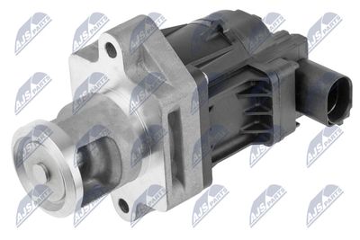 EGR Valve NTY EGR-PL-020