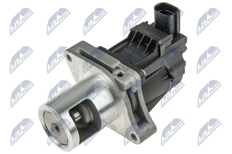 NTY EGR-PL-037 EGR Valve
