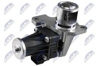 EGR Valve NTY EGR-RE-007