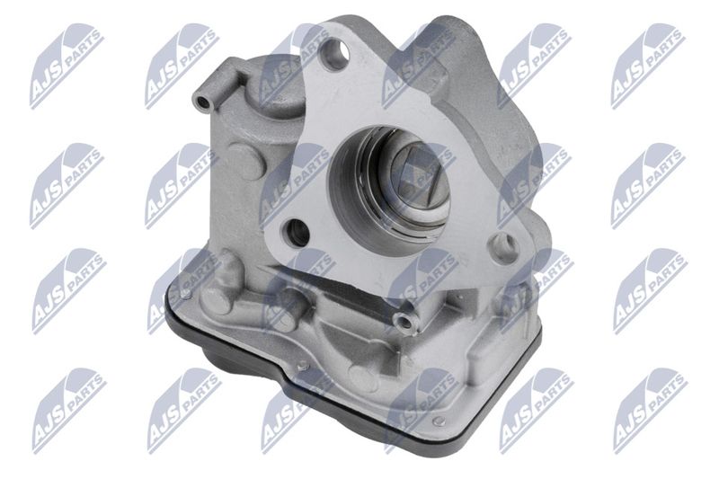 NTY EGR-RE-019 EGR Valve