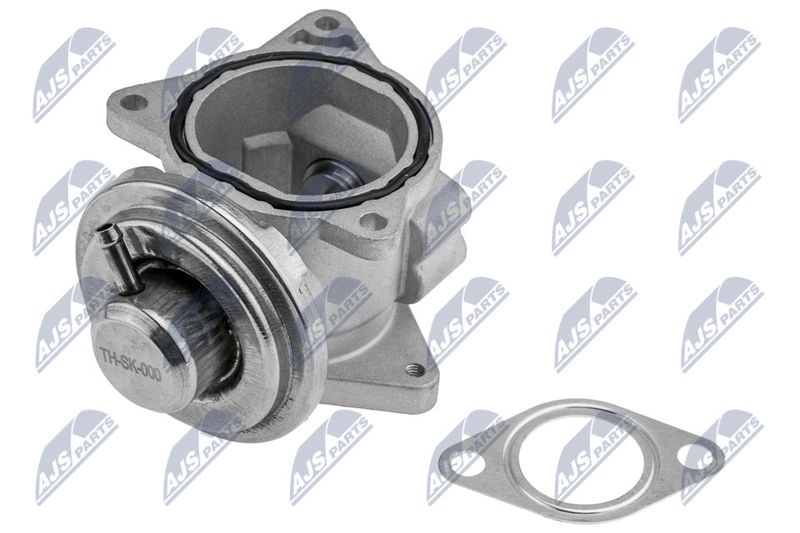 NTY EGR-SK-000 EGR Valve