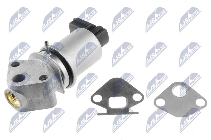NTY EGR-SK-001 EGR Valve