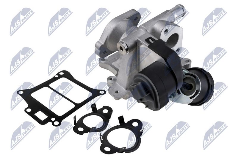 NTY EGR-VV-010 EGR Valve