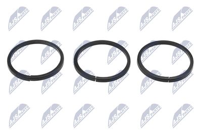 Seal, camshaft adjustment NTY ENK-VW-011
