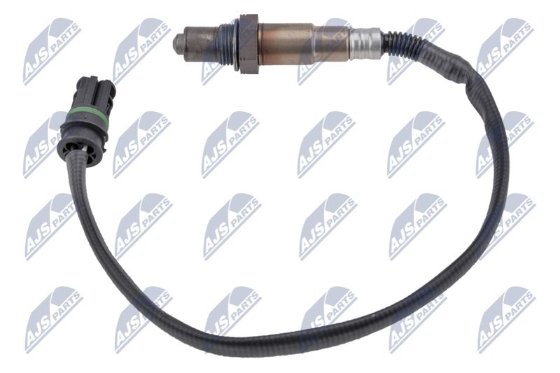 NTY ESL-BM-001 Oxygen Sensor