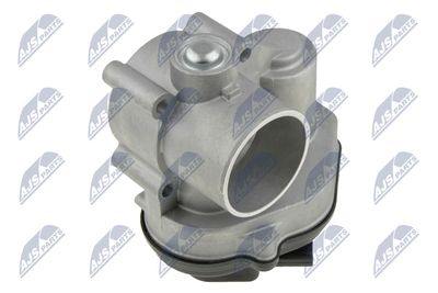 Throttle Body NTY ETB-FR-001