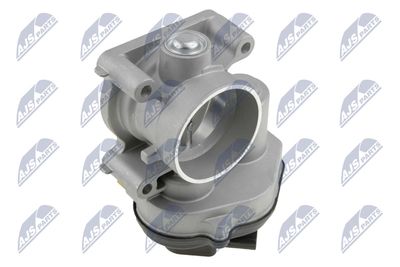 Throttle Body NTY ETB-FR-002