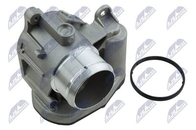 Throttle Body NTY ETB-FR-006