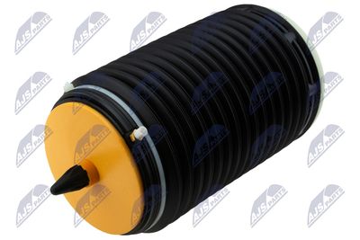 Air Suspension Strut NTY EZC-AU-187