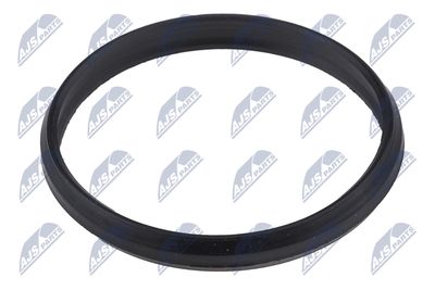 Seal, timing chain tensioner NTY EZC-PL-151