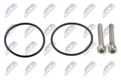 Hydraulic Filter, multi-plate clutch (all-wheel drive) NTY FHO-VW-004