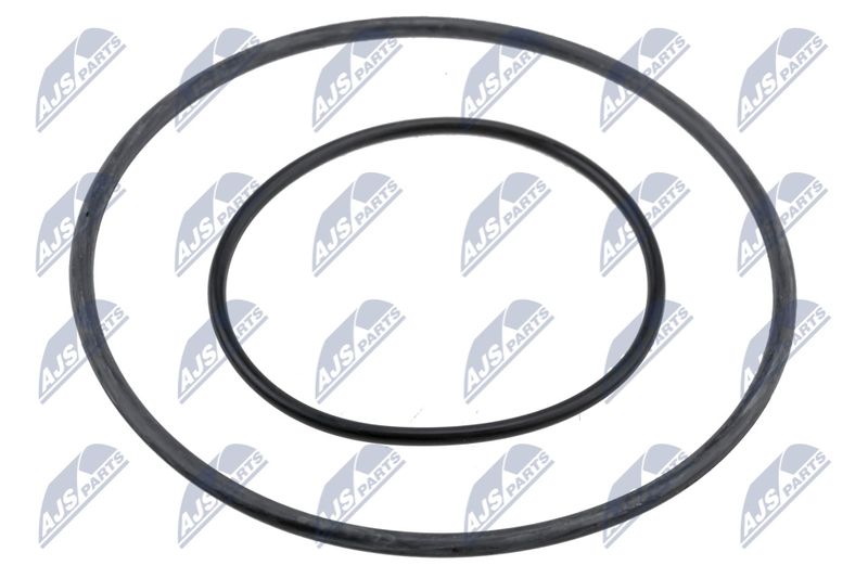 NTY PVP-BM-001 Seal Ring, nozzle holder