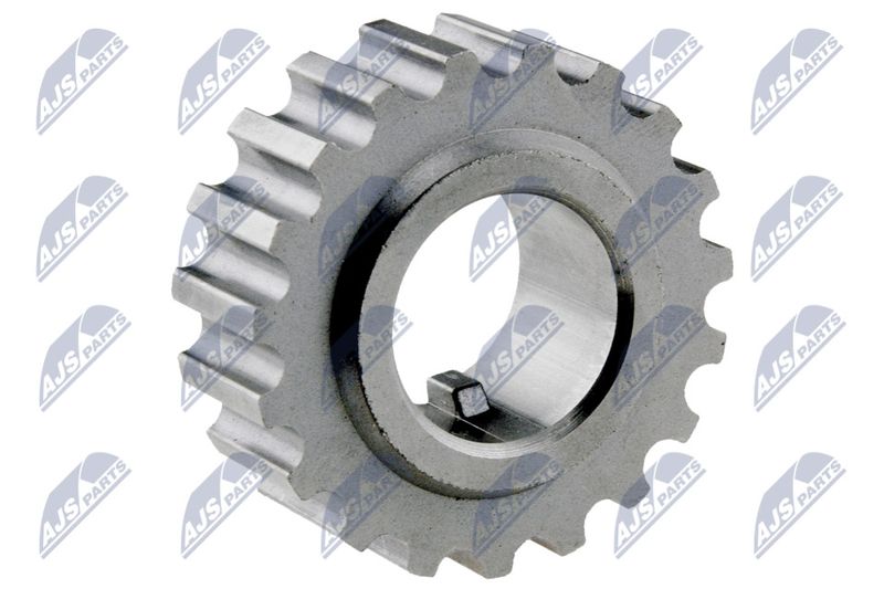 NTY RKP-RE-020 Sprocket, crankshaft