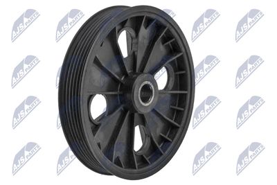 Belt Pulley, power steering pump NTY RKP-VV-006