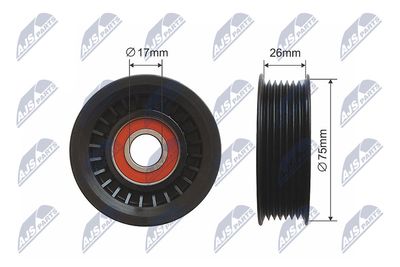 Tensioner Pulley, V-belt NTY RNK-CH-033